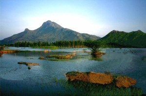 Arunachala