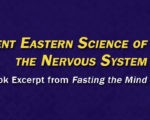 The Ancient Eastern Science of the Nervous System | Book Excerpt from Fasting the Mind
