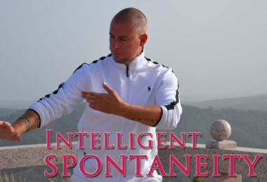 Understanding Flow – Part 3 Intelligent Spontaneity