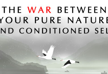 Why Your Nature is Warped and How to Become Pure Again