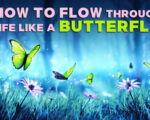 Taoism’s Butterfly Dream Story – The Transformation from Ego to Tao