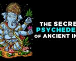 Psychedelics Discovered in India’s Most Ancient Spiritual Tradition